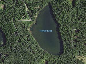 Martin Lake Homes and Land for Sale